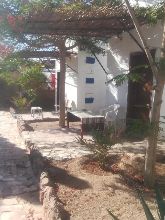 Bedouins Inn Village Akaba Exterior foto