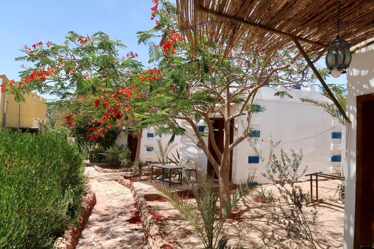 Bedouins Inn Village Akaba Exterior foto