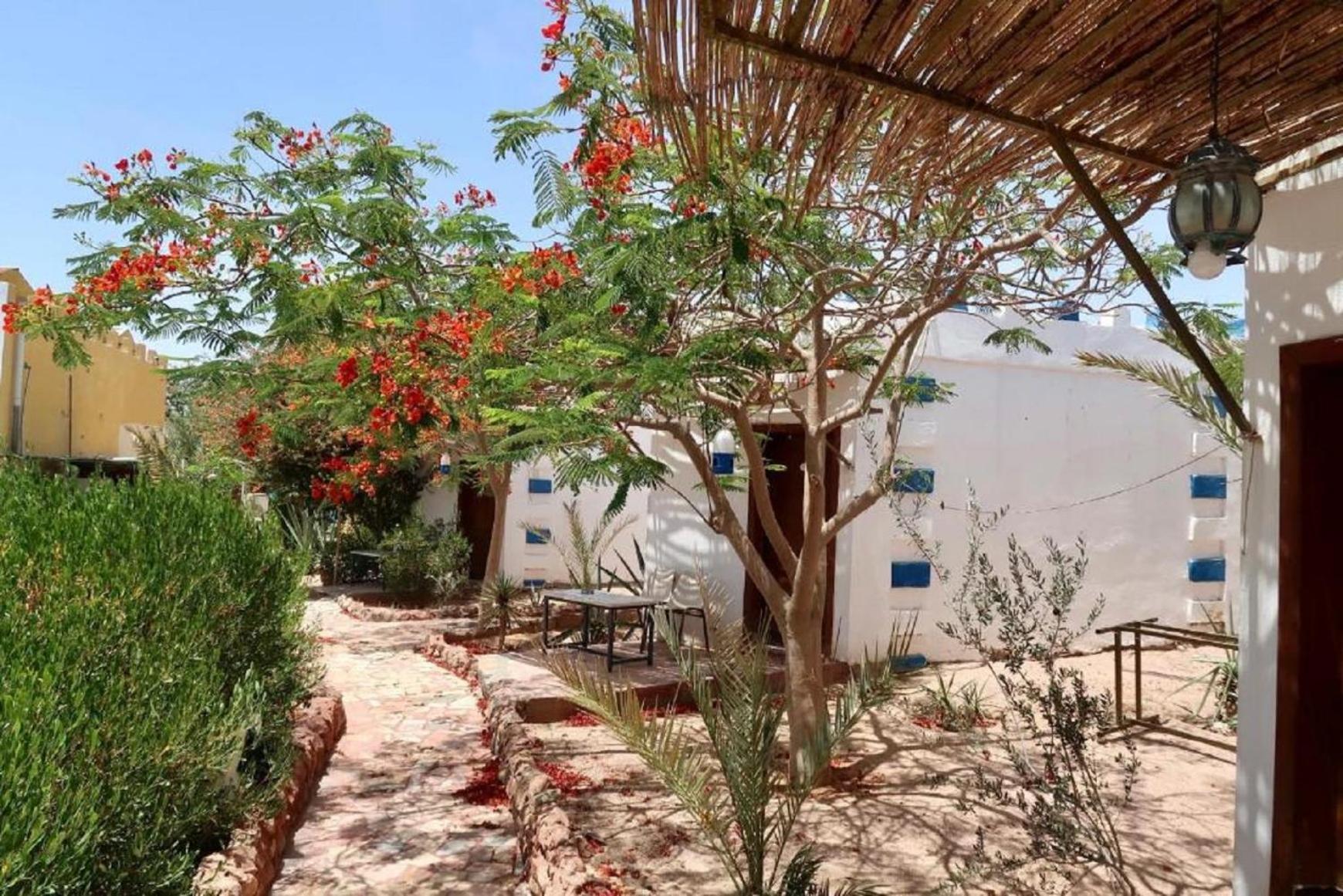 Bedouins Inn Village Akaba Exterior foto